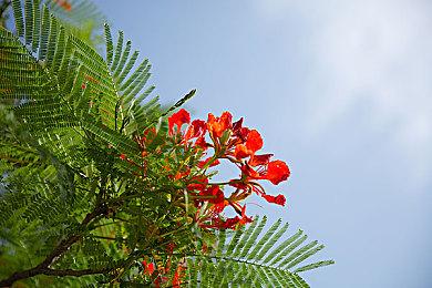 坂口博信称初代《最终幻想》完成度最高